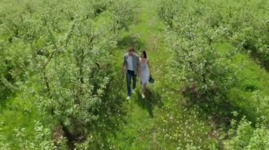 Ağaçların arasında yürüyen mutlu çiftin drone fotoğrafı