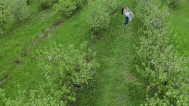 Yeşil elma bahçesinde flört çift Drone çekim