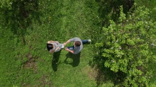 Drone strzał propozycji małżeństwa w ogrodzie jabłkowym — Wideo stockowe