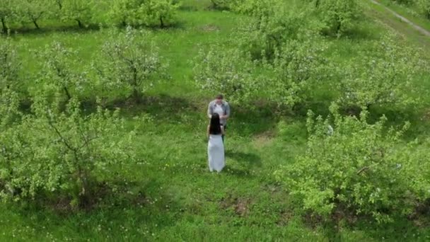 Εναέρια θέα του ζευγαριού ανάμεσα στο πράσινο του οπωρώνα — Αρχείο Βίντεο