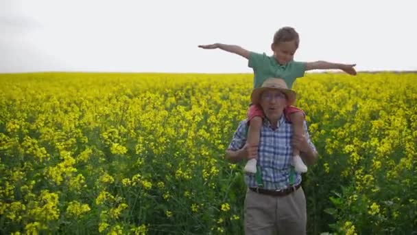 Farfar och barnbarn under promenad genom fält — Stockvideo