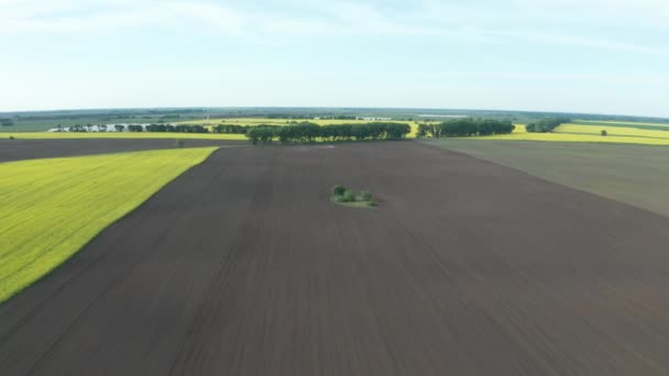 Drohnenblick auf gepflügten Boden und blühende Felder — Stockvideo