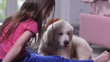 Sevimli köpek yavrusu yerde oturan küçük çocuk koklama
