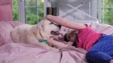 Kreşte yatakta yatan küçük kız köpek okşayarak