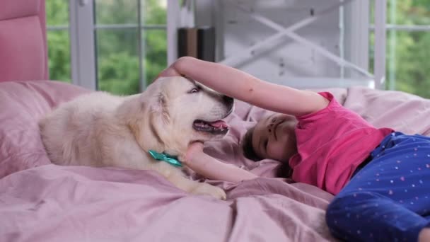 Kleines Mädchen streichelt Welpe, der im Kinderzimmer auf dem Bett liegt — Stockvideo