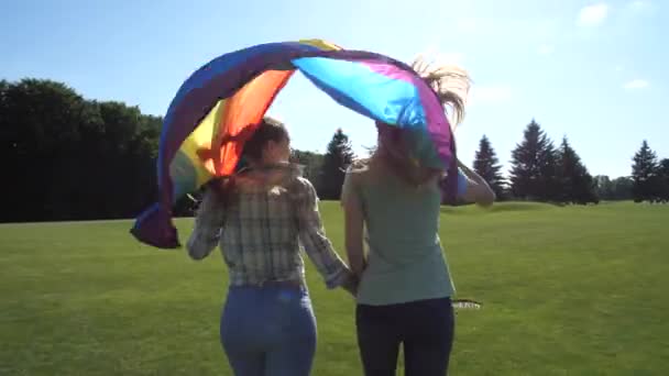 Νεαρό ΛΟΑΤ ζευγάρι με σημαία υπερηφάνειας τρέχει στο πάρκο — Αρχείο Βίντεο