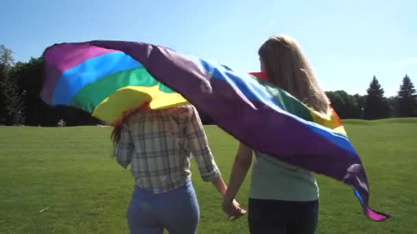 Vriendinnen lopen over gazon houden LGBT vlag — Stockvideo