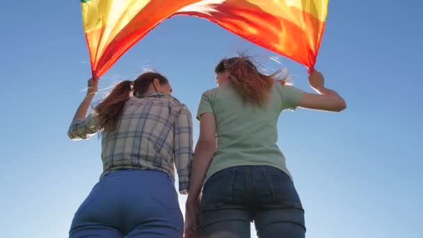 Casal com lgbt bandeira de pé sob o céu brilhante — Vídeo de Stock