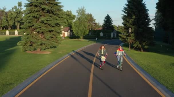 Veduta aerea di due lesbiche in sella alle biciclette nel parco — Video Stock