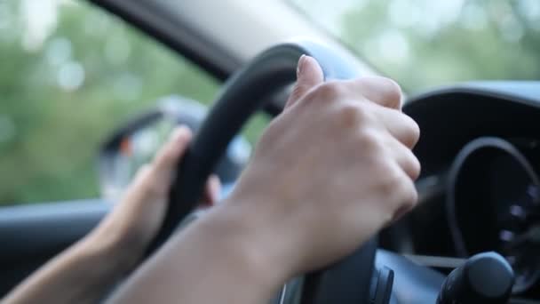 Женские руки на руле автомобиля во время привода — стоковое видео