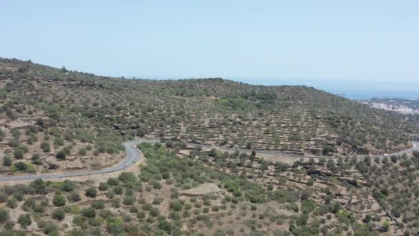 Aerial view of serpentine mountain road — Stock Video