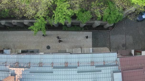 Снимок с воздуха грабителей, нападающих на человека на городской полосе — стоковое видео