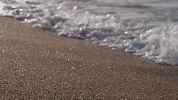 Pies desnudos de mujer caminando a lo largo de la playa de arena húmeda — Vídeos de Stock