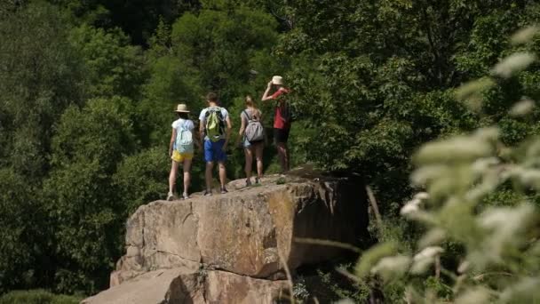 Pěších turistů povzbuzených zbraněmi na vrcholu hory — Stock video