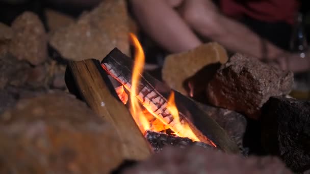 Kamp ateşine odun koyan erkek eli — Stok video
