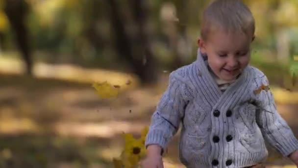 Retrato de un niño jugando con hojas de otoño — Vídeos de Stock