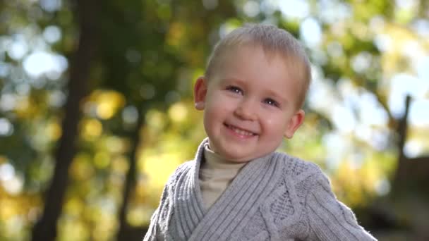 Portrait de mignon tout-petit garçon posant dans le parc d'automne 