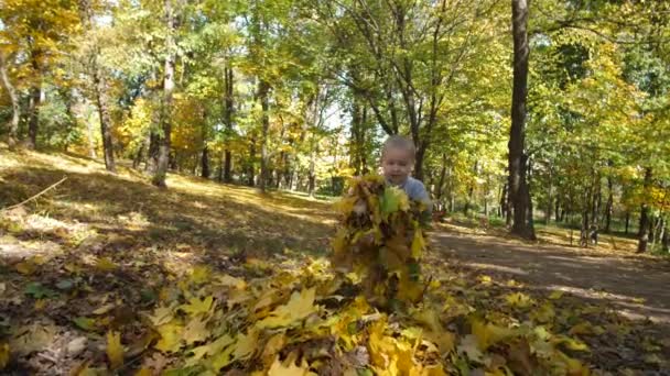 Doux tout-petit garçon s'amuser avec des feuilles d'automne 
