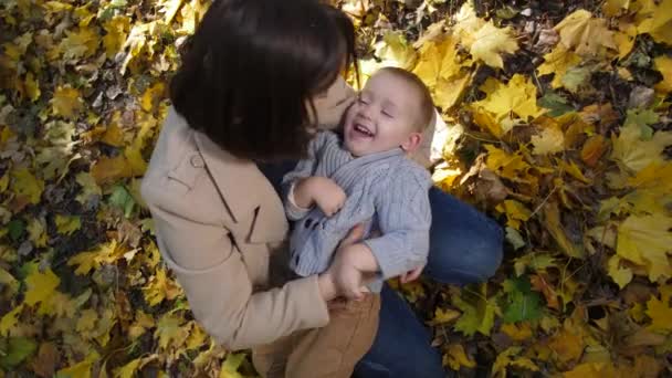 Joyful mom tickling laughing toddler son in park — ストック動画