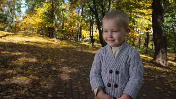 Портрет очаровательного мальчика среди осеннего парка — стоковое видео