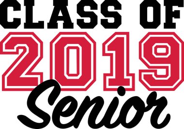 2019 üst düzey sınıf