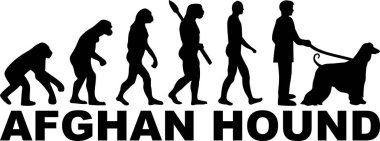 Afgan Tazısı evrim siyah Word'de ile 