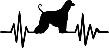 Kalp atışı darbe satırıyla Afgan Tazısı siluet