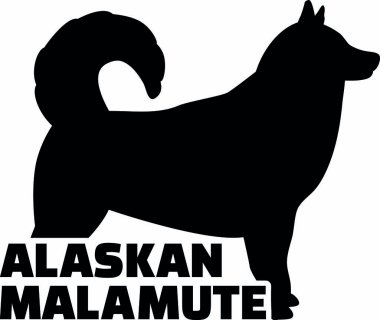 Alaskan malamute siluet word ile gerçek