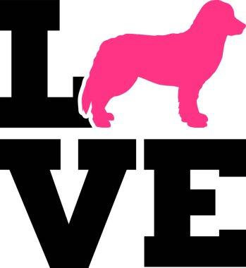 Bernese dağ sevgi ile pembe siluet