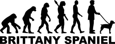 Brittany Spaniel evrim siyah Word'de ile 