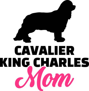 Cavalier King Charles anne pembe