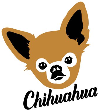 Chihuahua baş renk adı ile