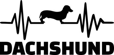 Dachshund köpek siluet kalp atışı sıklığı