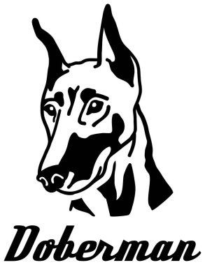Doberman kafa adı siyah beyaz