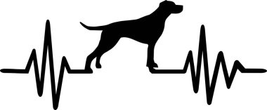 Kalp atışı darbe hattı ile İngiliz Pointer köpek siluet