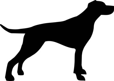 İngiliz Pointer siluet siyah gerçek