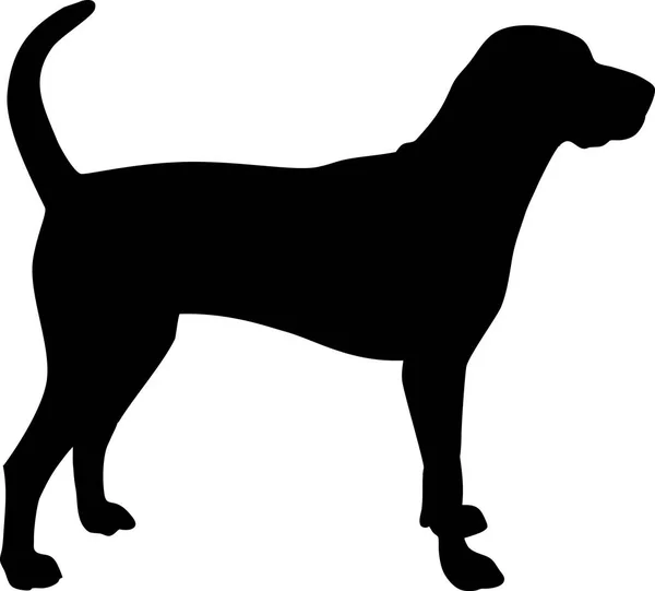 American English Coonhound Silhouette Real Black — Stock Vector