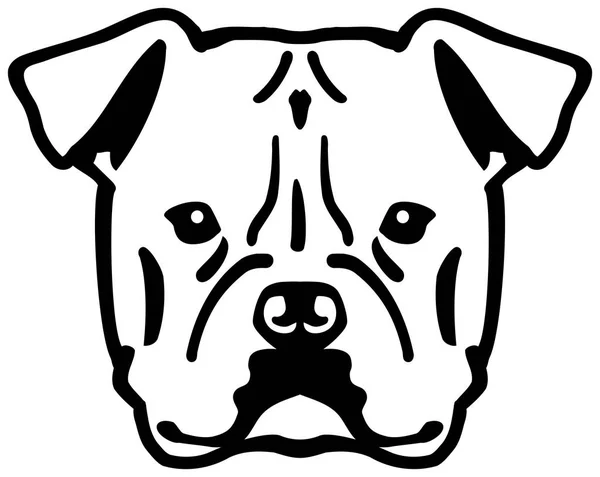 Amerikansk Bulldog Huvud Svart Med Namn — Stock vektor