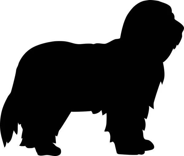Γενειοφόρος Ποιμενικού Σκύλου Σκύλος Σιλουέτα Πραγματικό Μαύρο — Διανυσματικό Αρχείο