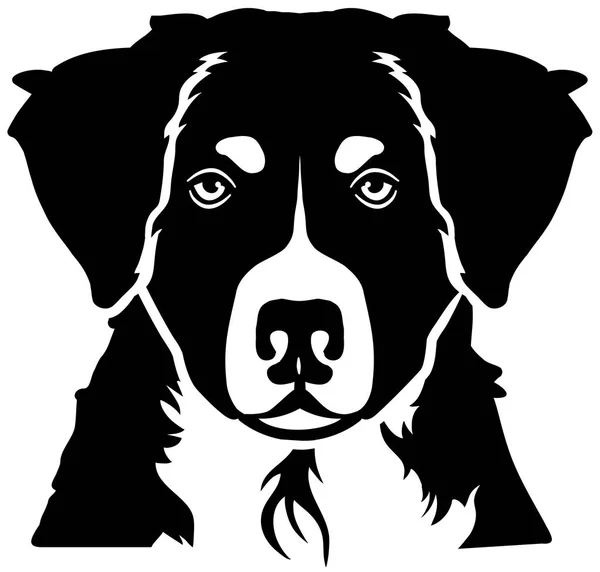 Bernese Mountain Head Black White — Stock Vector