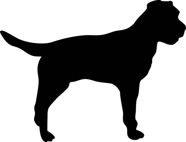 Border Terrier Silhouette Real Black — Stock Vector