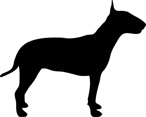 Bull Terrier Silhueta Preto —  Vetores de Stock