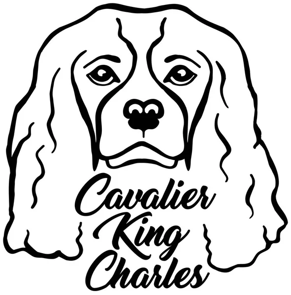 Cavalier King Charles Κεφάλι Μαύρο Όνομα — Διανυσματικό Αρχείο