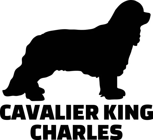 Cavalier King Charles Silhouette Con Nome — Vettoriale Stock