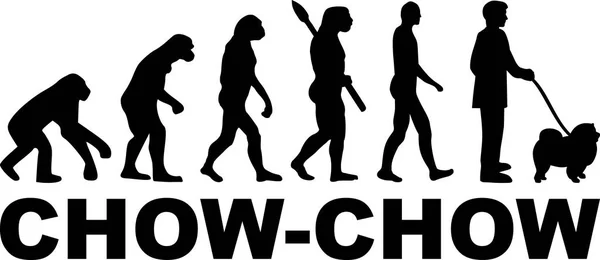 Evolución Chow Chow Con Nombre Perro — Vector de stock