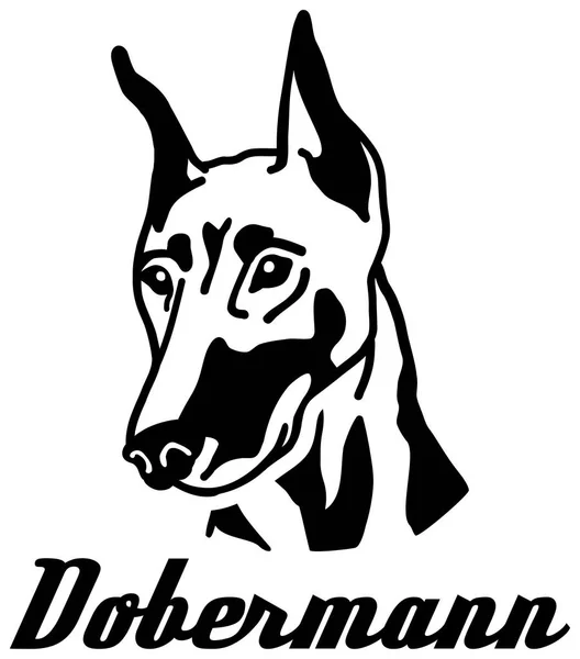 Doberman Ansikte Med Tyska Ordet — Stock vektor