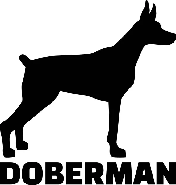 Doberman Silhouet Zwart Met Naam — Stockvector