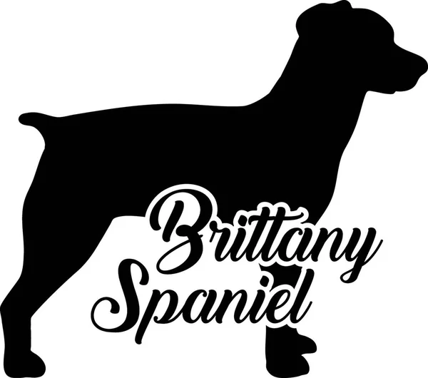 Brittany Spaniel Silhouette Echt Mit Wort Stockillustration