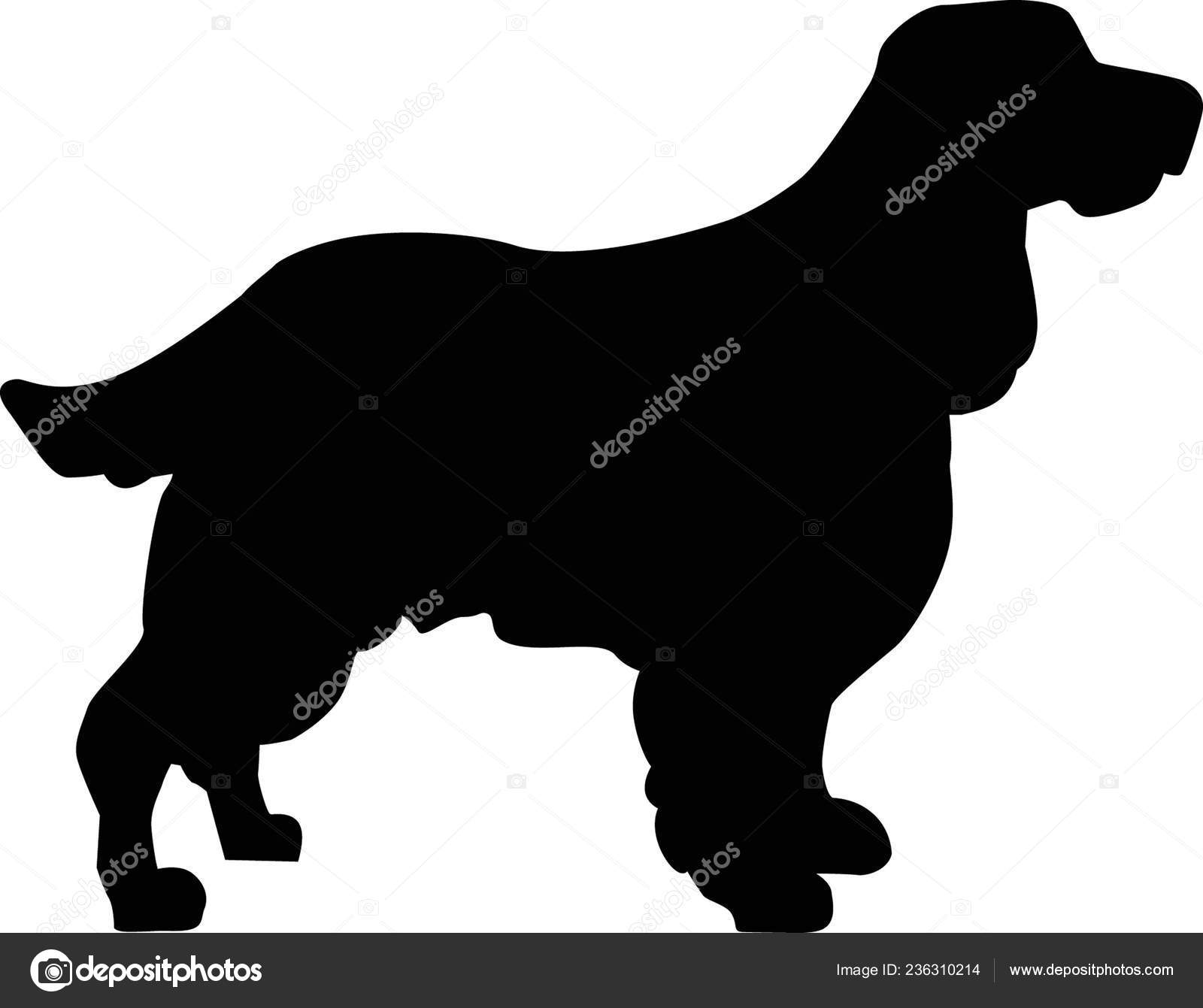 English Springer Spaniel Silhouette Real Black Stock Vector by
