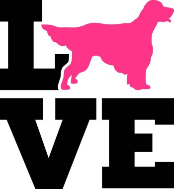 İngiliz seterim aşk sözle siluet 